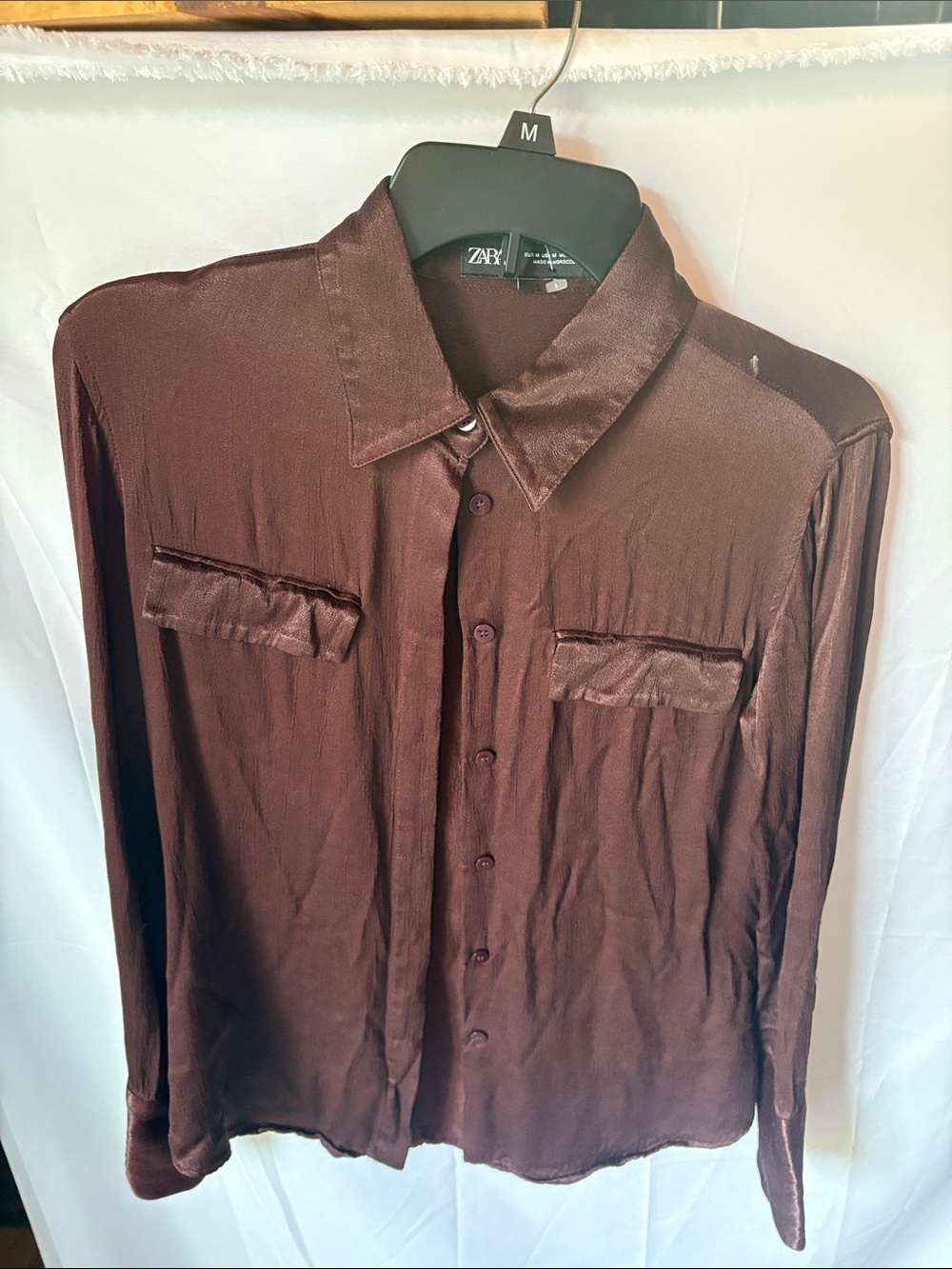 Zara Men’s Long-Sleeve Button-Down Shirt in Deep Brown